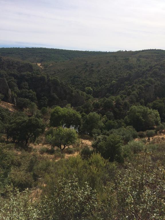 La Cerca Del Alcornoque Casas de Belvis Exterior foto