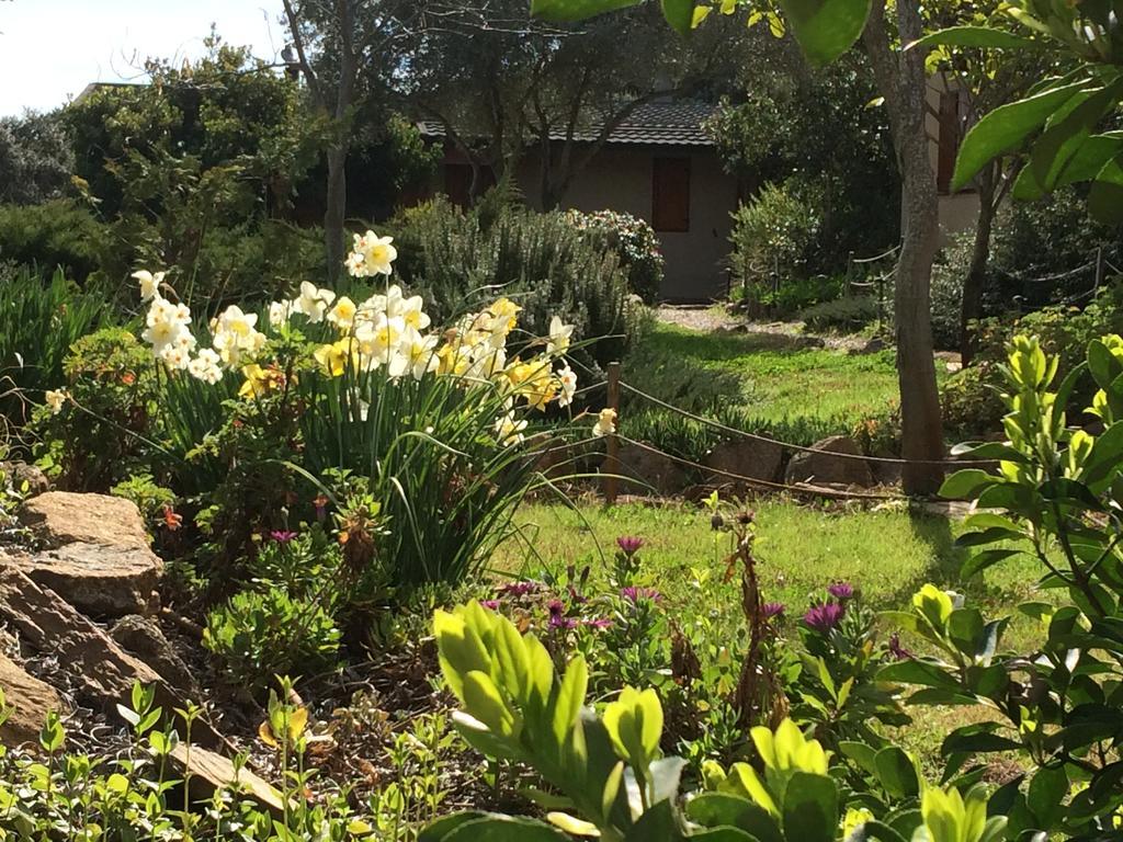 La Cerca Del Alcornoque Casas de Belvis Exterior foto