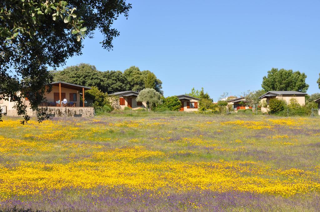 La Cerca Del Alcornoque Casas de Belvis Exterior foto