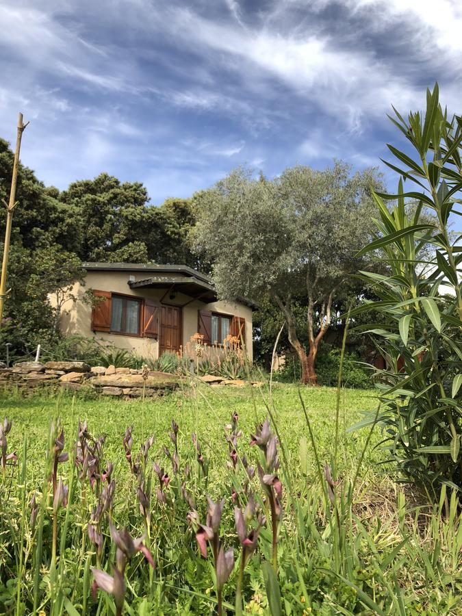 La Cerca Del Alcornoque Casas de Belvis Exterior foto